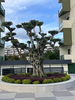Аренда квартиры в новом жилом комплексе Gardenia 11, всего за 400 EUR в месяц!
